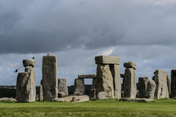 Stonehenge, corvids at the stones © Bryony Whistlecraft | MooredgeintheMist.com