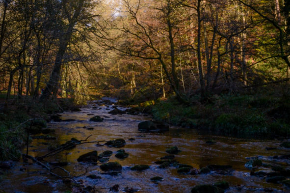 November Sun, Hardcastle Crags © Bryony Whistlecraft | MooredgeintheMist.com