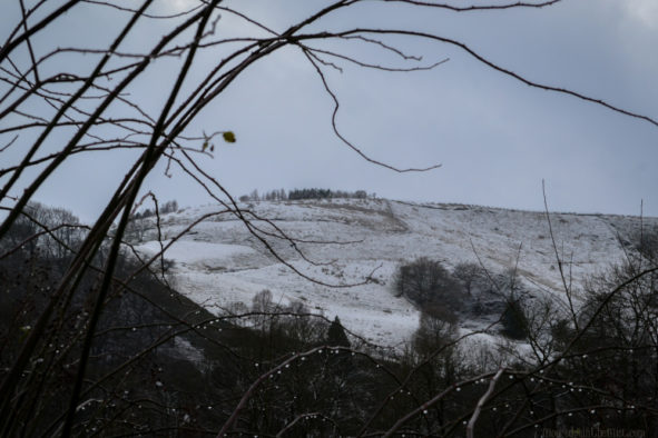 Yuletide Greetings © Bryony Whistlecraft | MooredgeintheMist.com